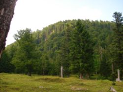 2013-07-20_Regina-F-Rau_Kochel-Rabenkopf (359).JPG